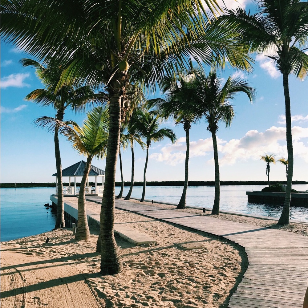 Meet your Posher, Bella